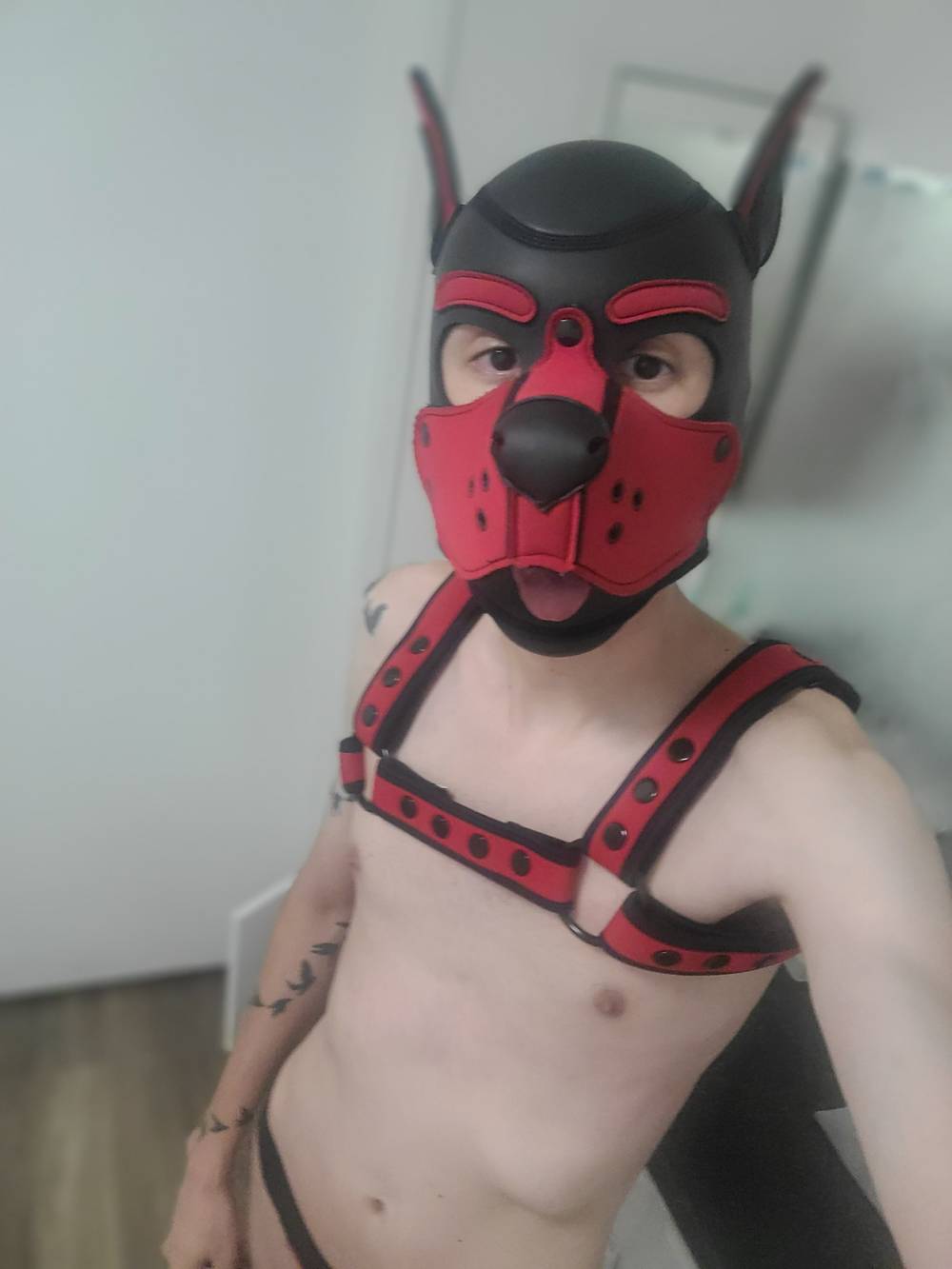 Zeke the Pup OnlyFans – free nudes, naked, leaked