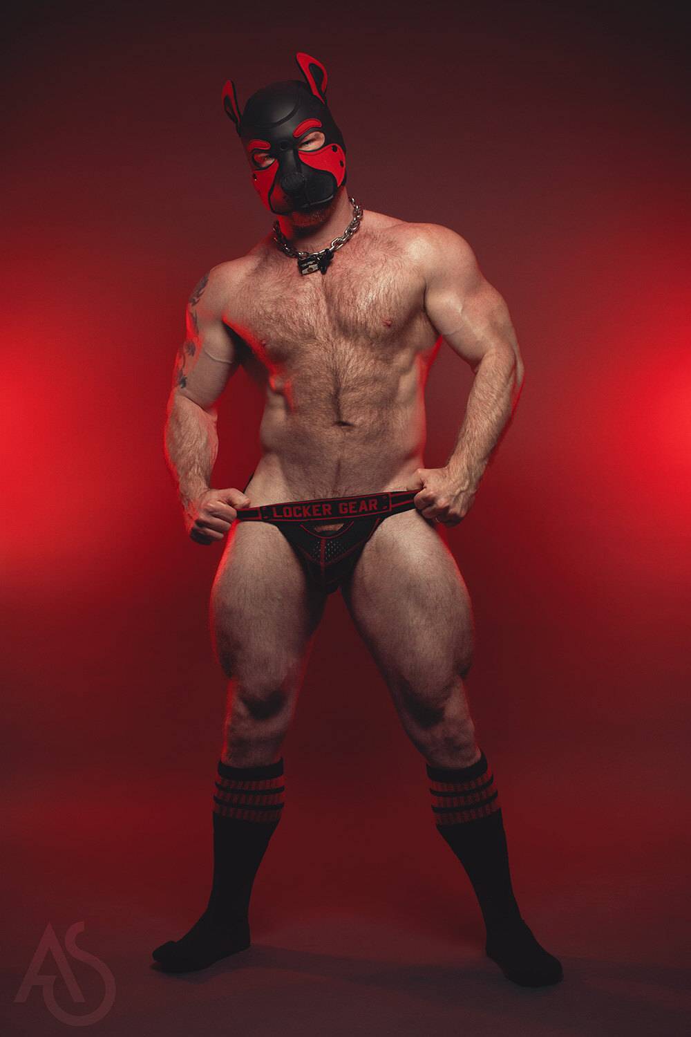 Muscle Pup Zagreus OnlyFans – free nudes, naked, leaked