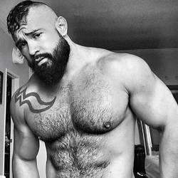 Hunghairydaddy OnlyFans – free nudes, naked, leaked