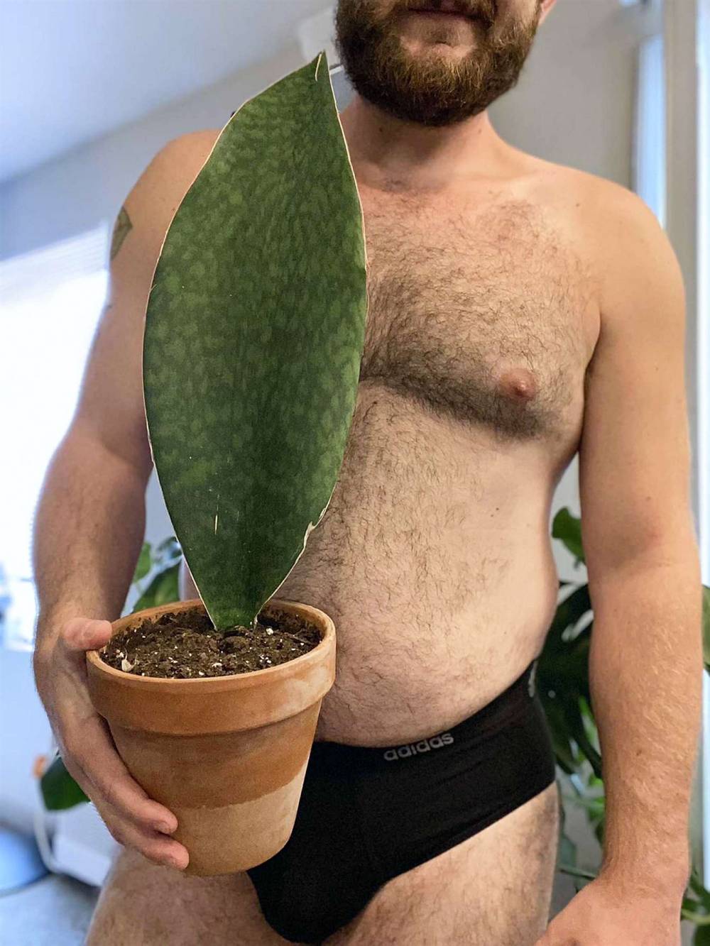 The_Plant_Daddy OnlyFans – free nudes, naked, leaked