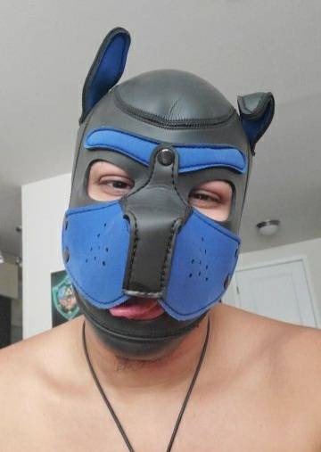 Pup Gaymer OnlyFans – free nudes, naked, leaked