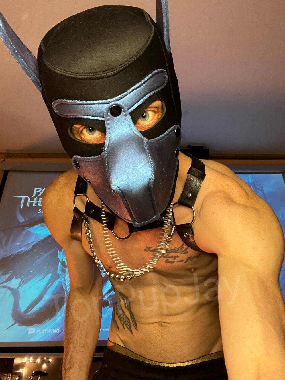 Top Pup Jay OnlyFans – free nudes, naked, leaked