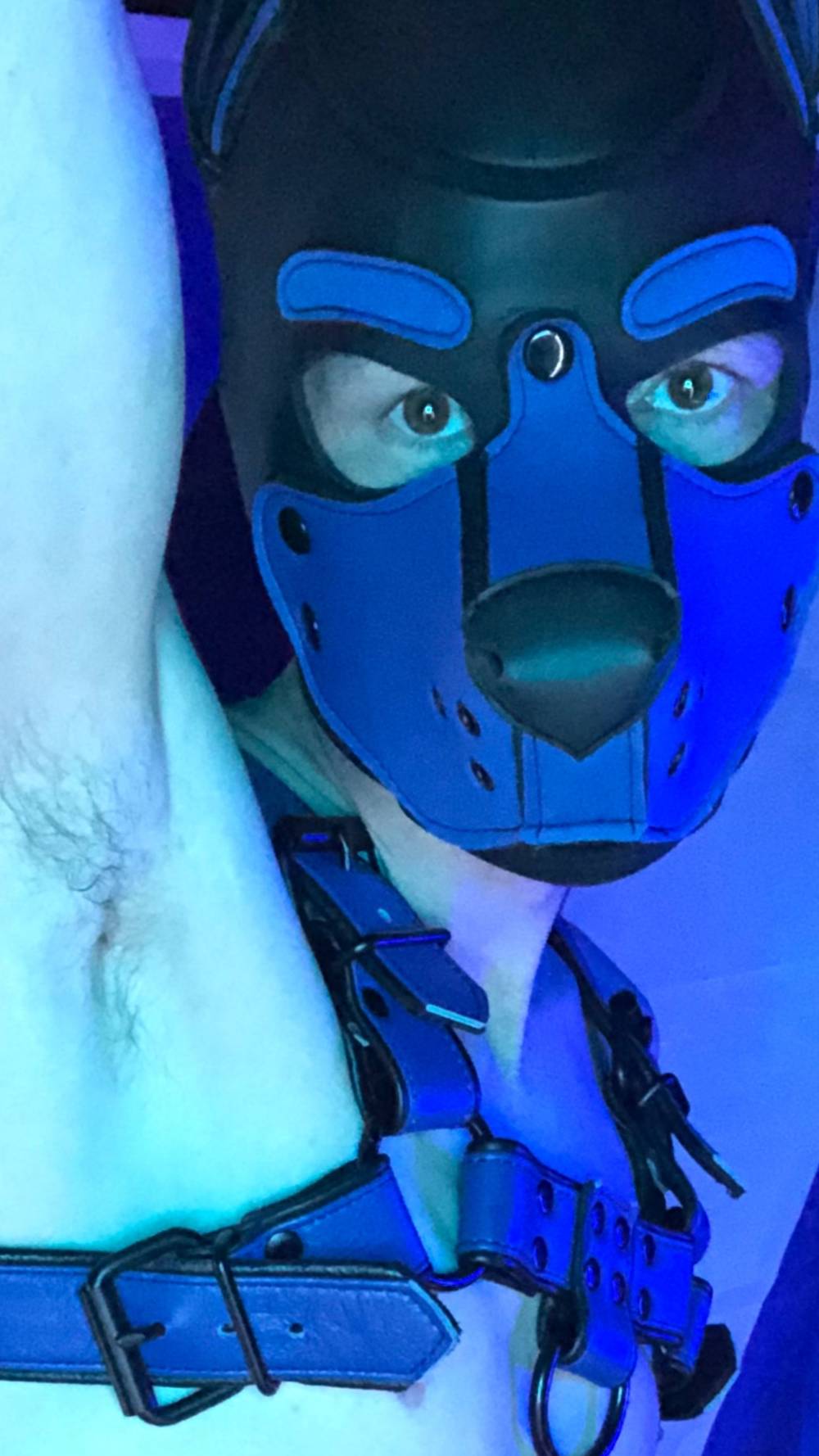 Pup Scrote OnlyFans – free nudes, naked, leaked