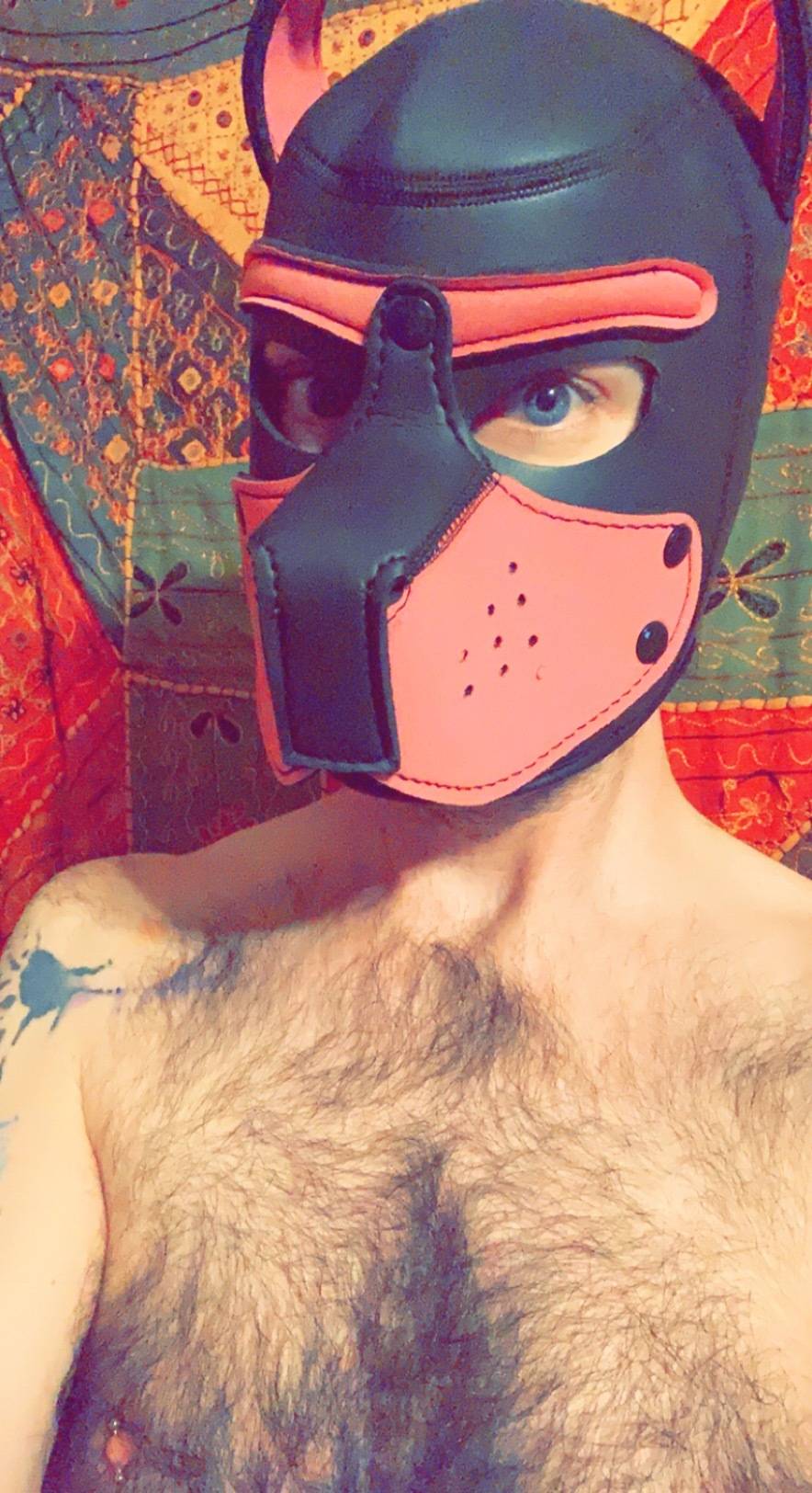 Puppy Tucker OnlyFans – free nudes, naked, leaked