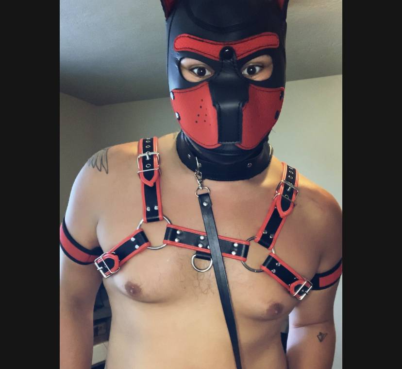 Pup Eddie OnlyFans – free nudes, naked, leaked