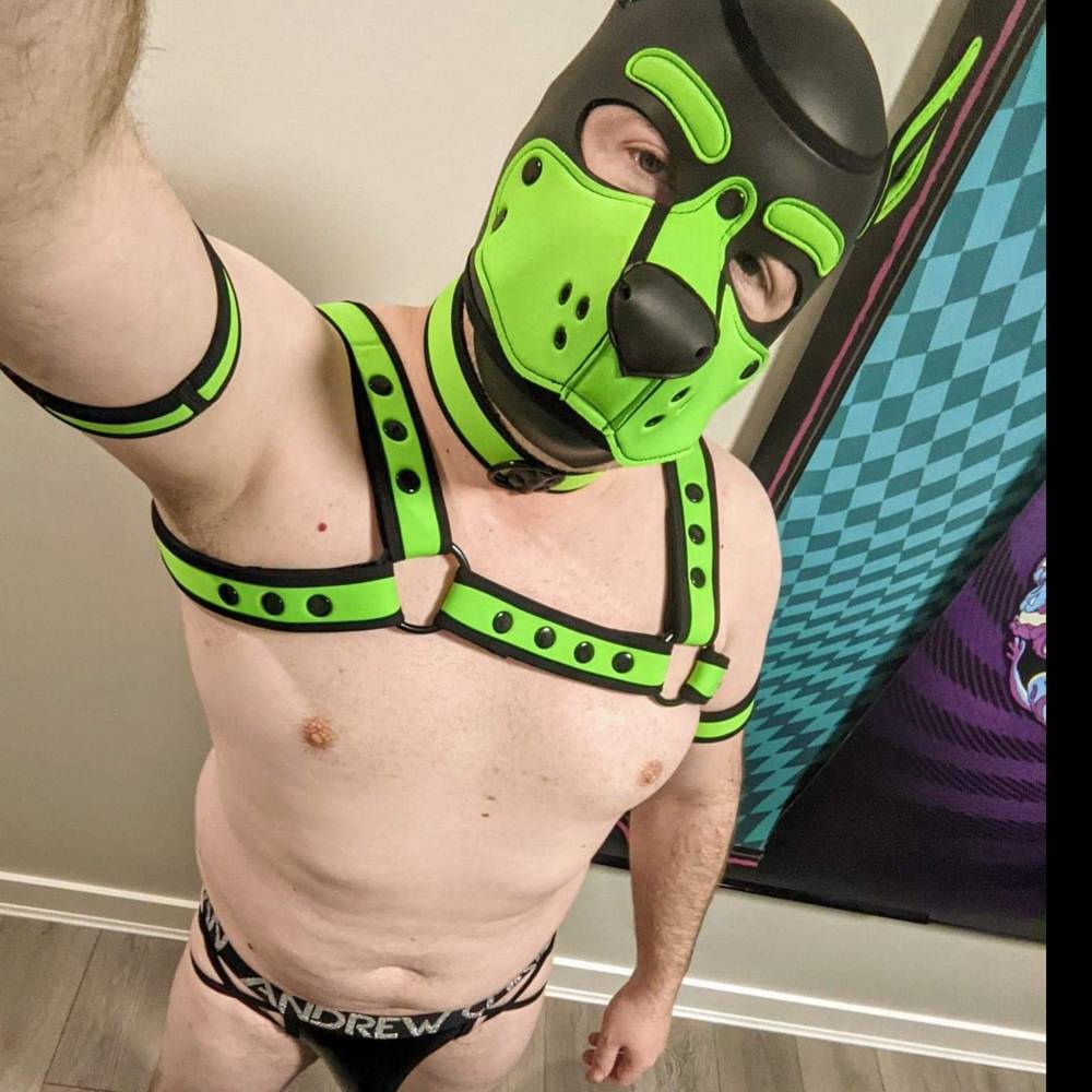 Spot the Pup OnlyFans – free nudes, naked, leaked