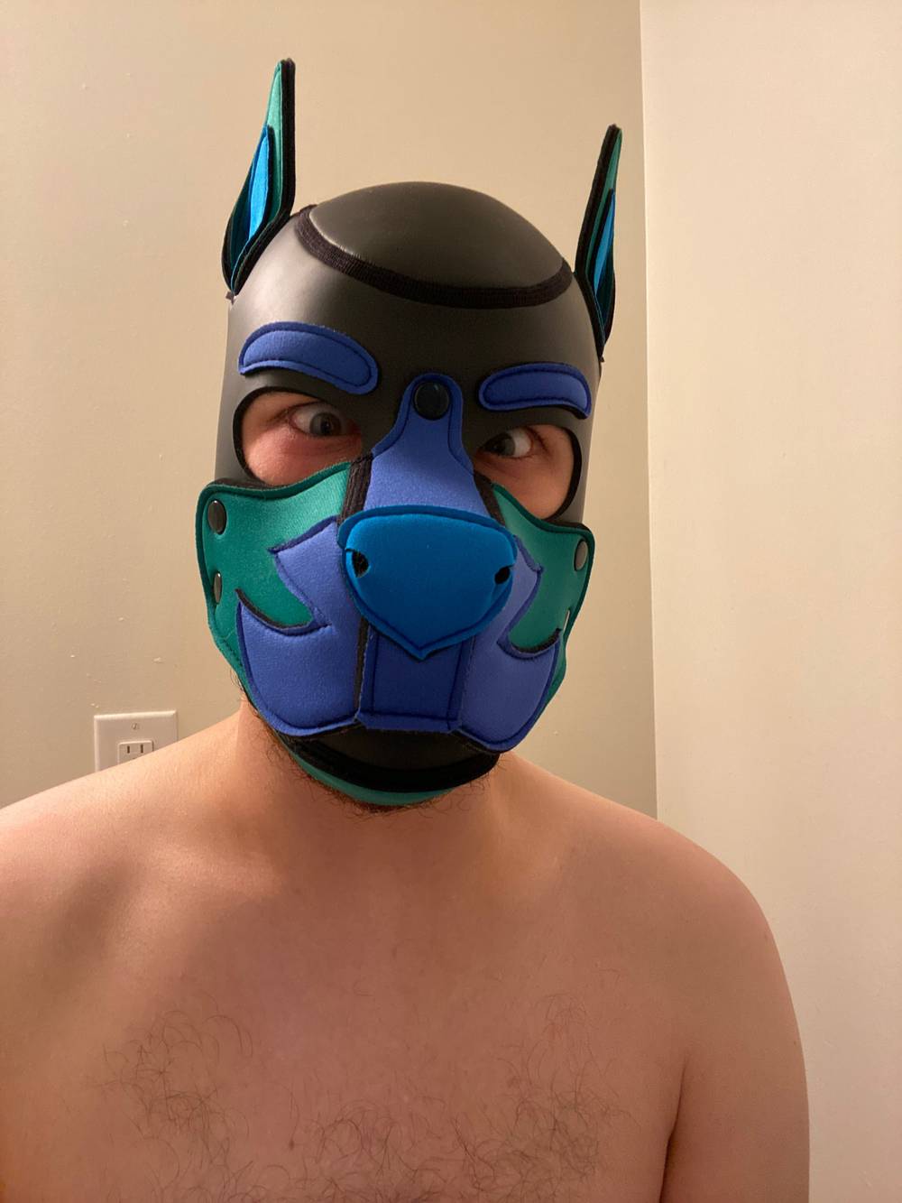 Pup Orion OnlyFans – free nudes, naked, leaked