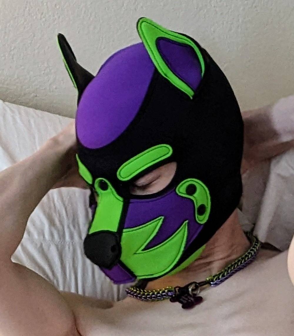 Pup Toxic OnlyFans – free nudes, naked, leaked