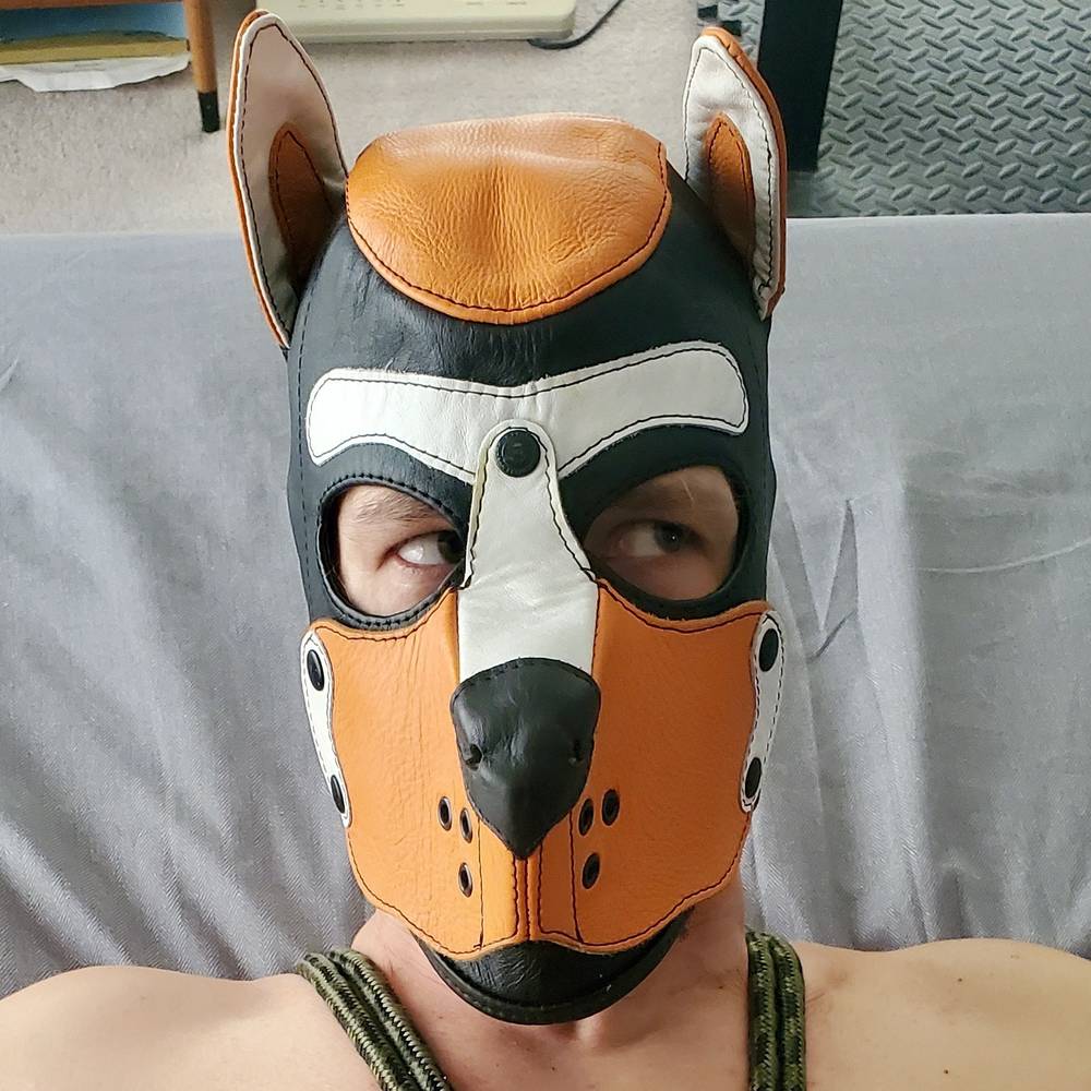 Pup Xolo OnlyFans – free nudes, naked, leaked