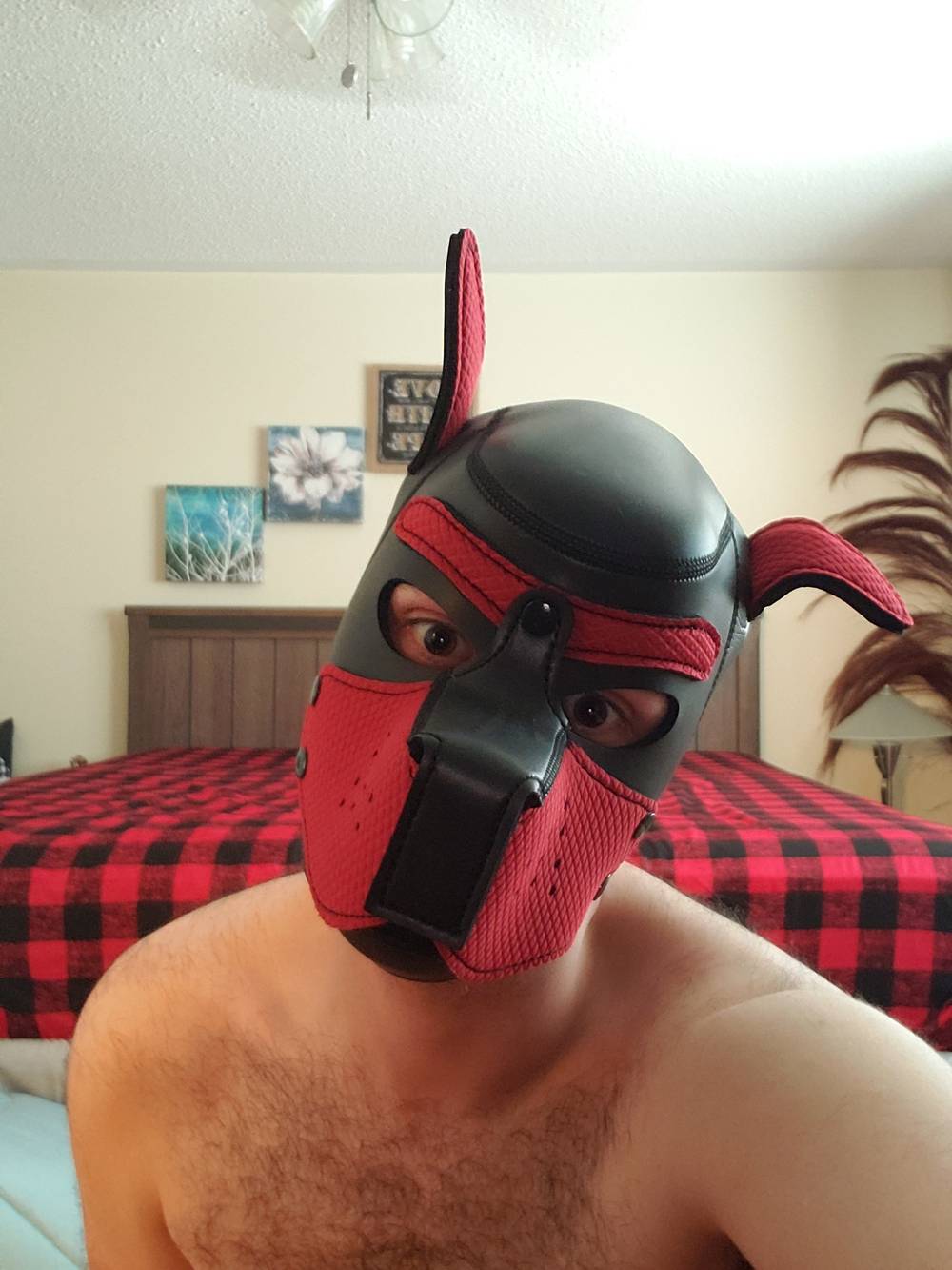 Pupster D OnlyFans – free nudes, naked, leaked