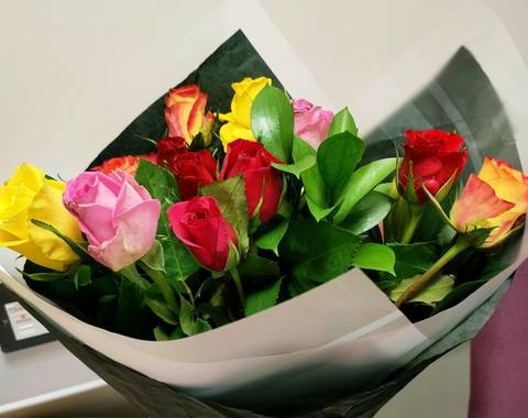 Pink Rose