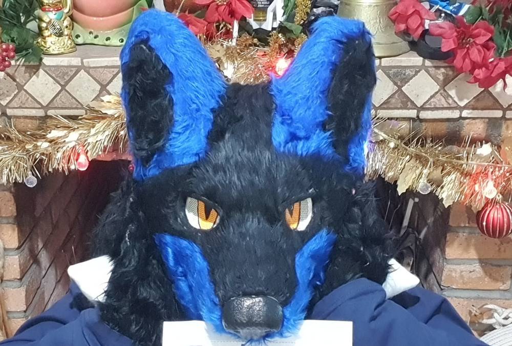 Bruno Blue Furry