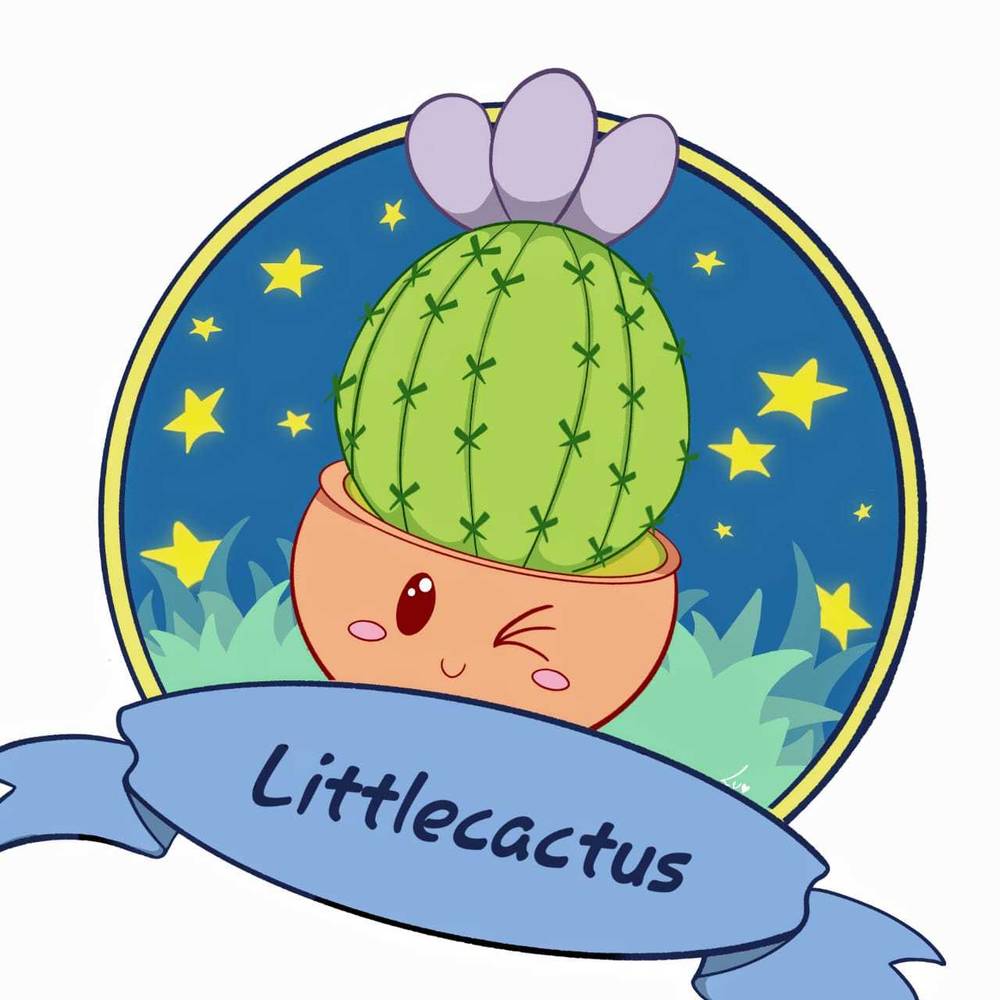 Little cactus