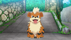 ScrubbyGrowlithe