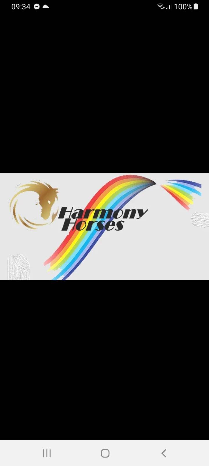 Harmony Horses Fv