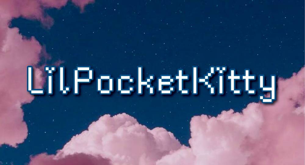 LilPocketKitty