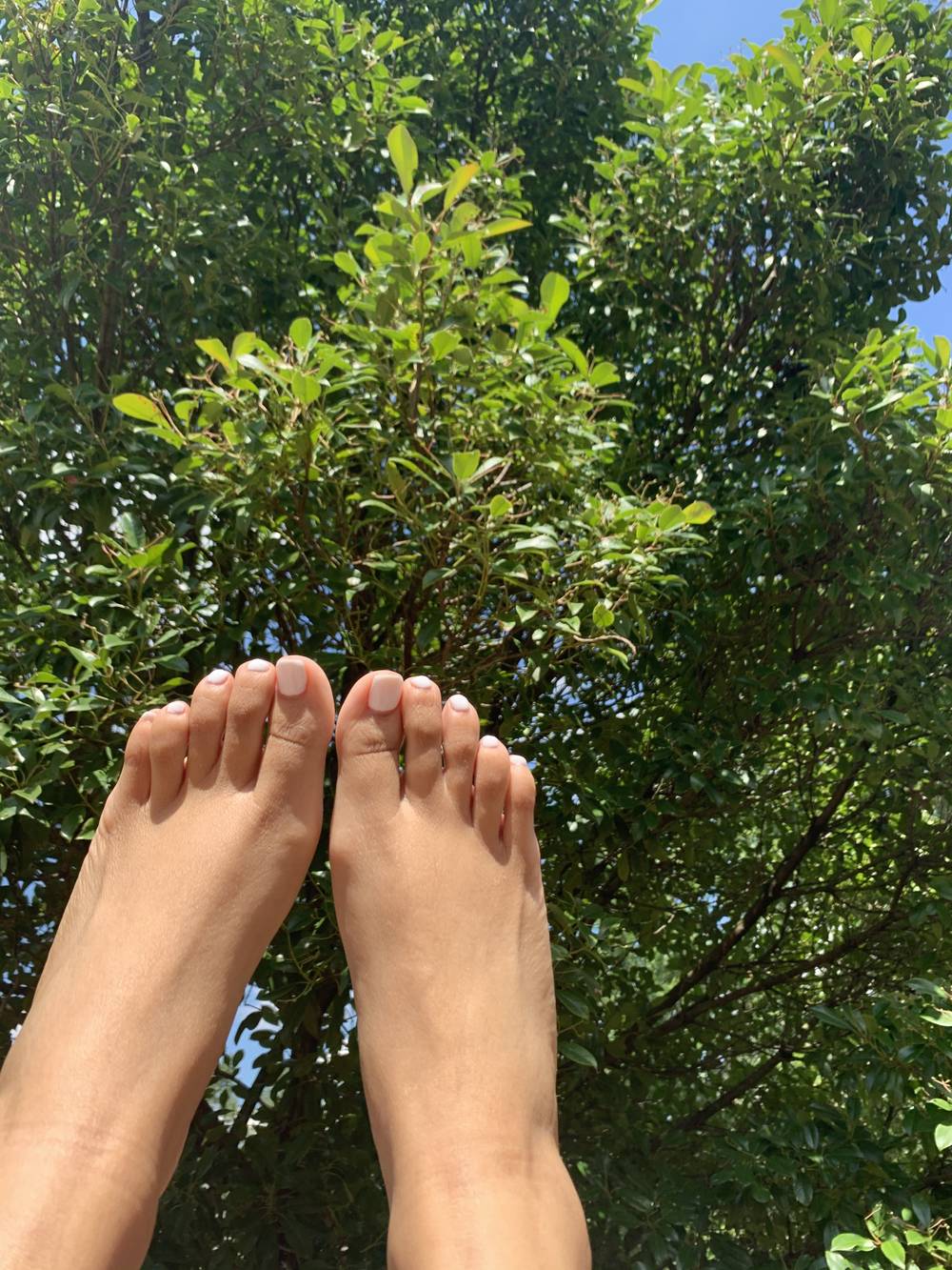 TayToes