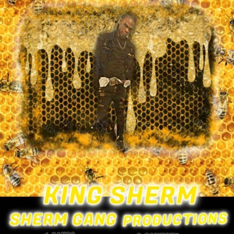 SHERM GANG PRODUCTIONS