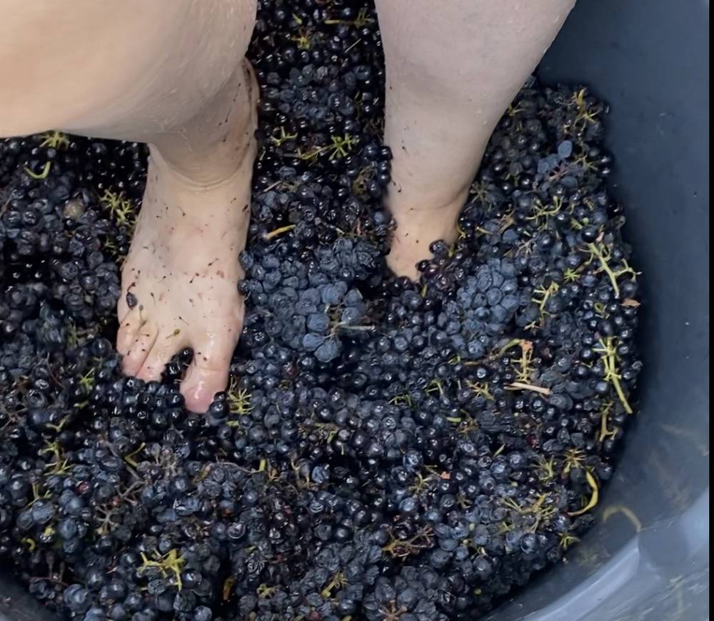 The Wine Makers Feet