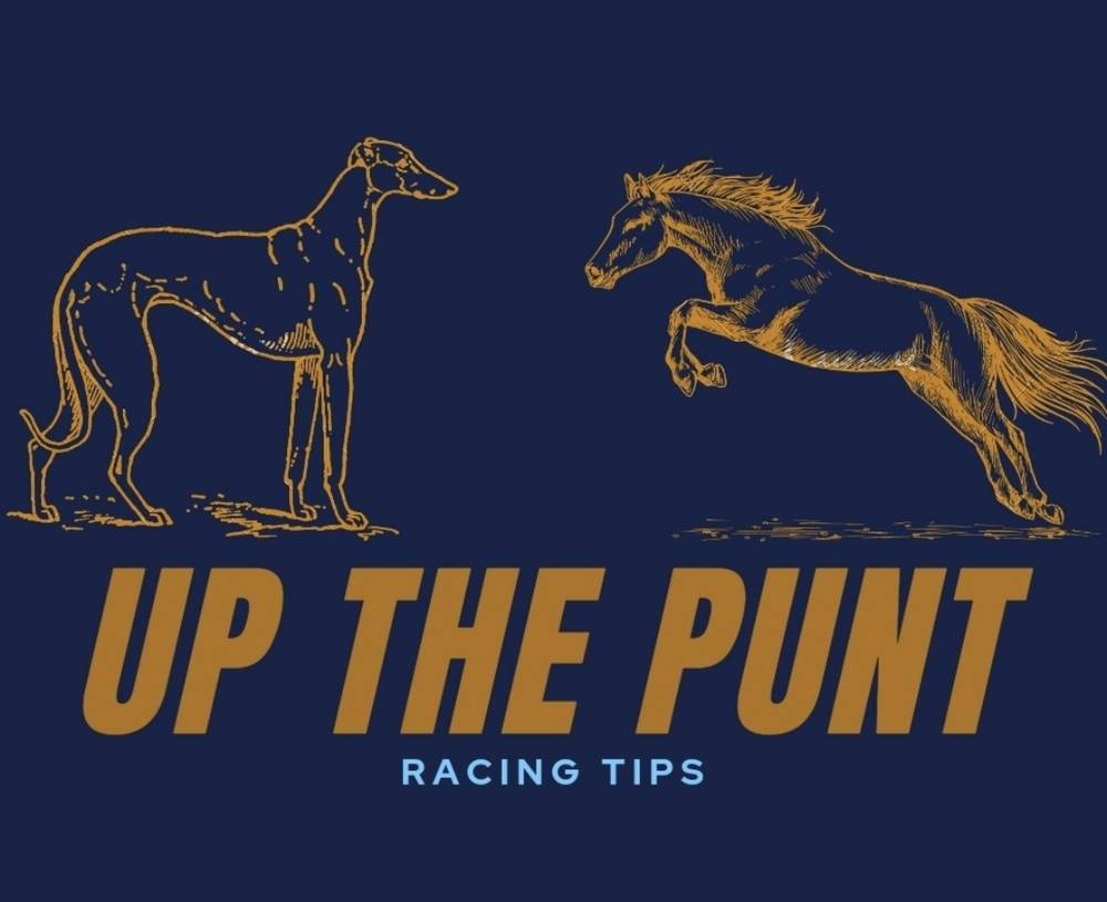 GetUpThePunt2021